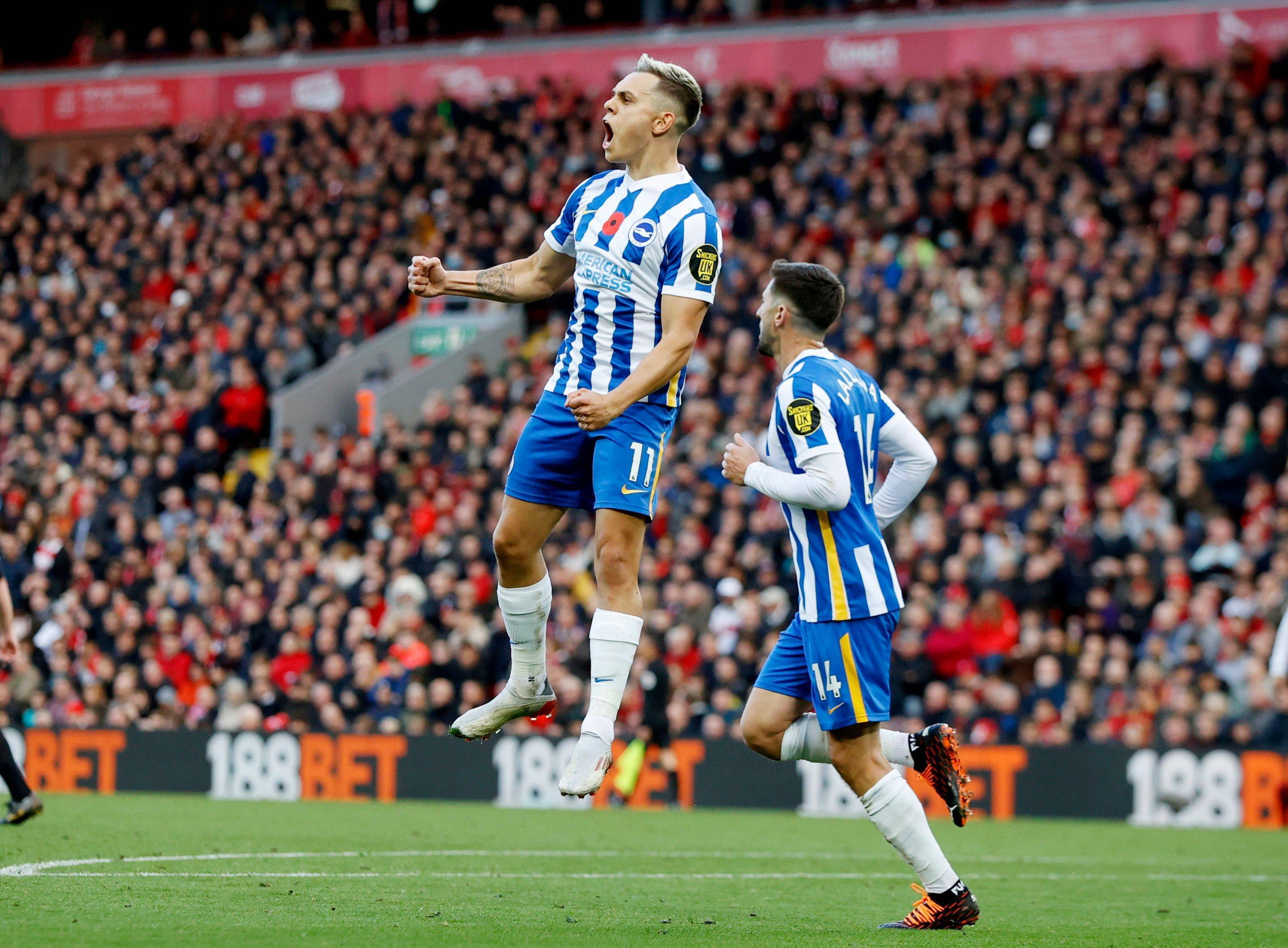 西班牙足协 西班牙足协